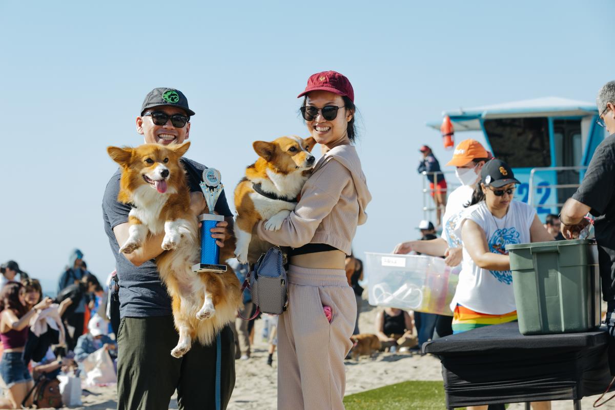 Corgi Beach Day in Huntington Beach